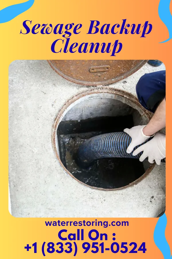 Sewage Backup Cleanup in Hills, IA