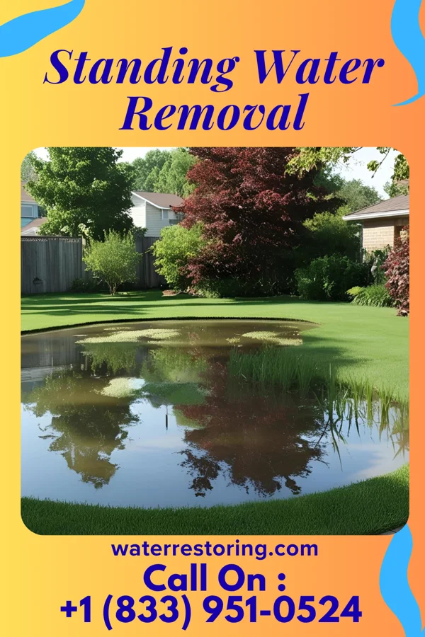 Standing Water Removal in Hills, IA